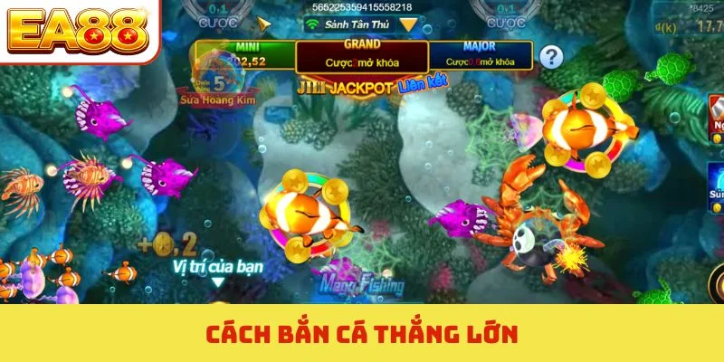 cách bắn cá thắng lớn